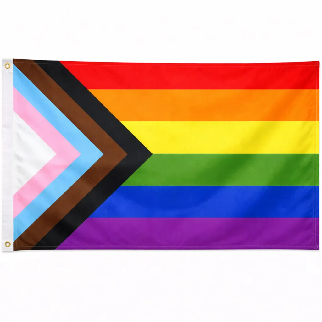 Progress Flagge 90 x 150 cm