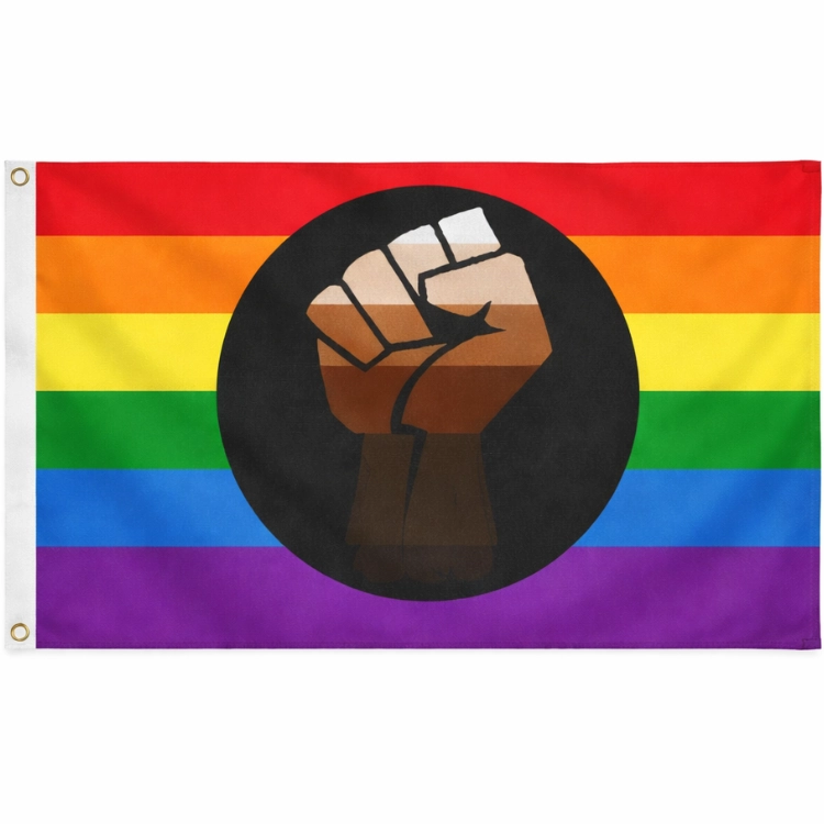 Pride Flagge mit erhobener Faust 90×150 cm