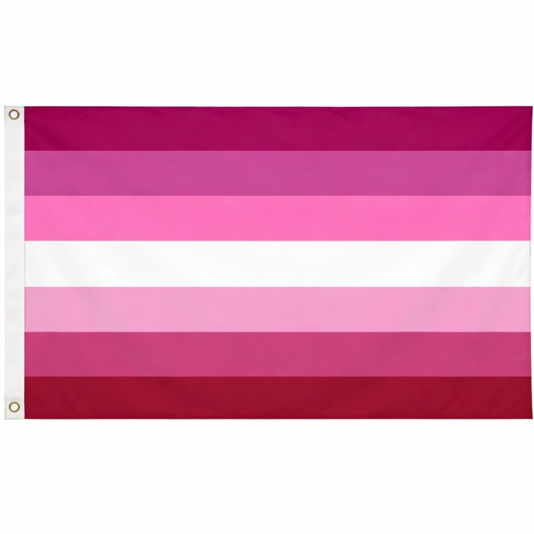 Lesbian Pride Flagge 60 x 90 cm