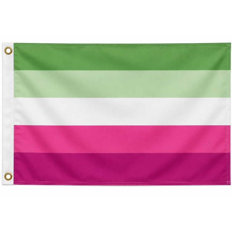 Abrosexuell Flagge 90 x 150