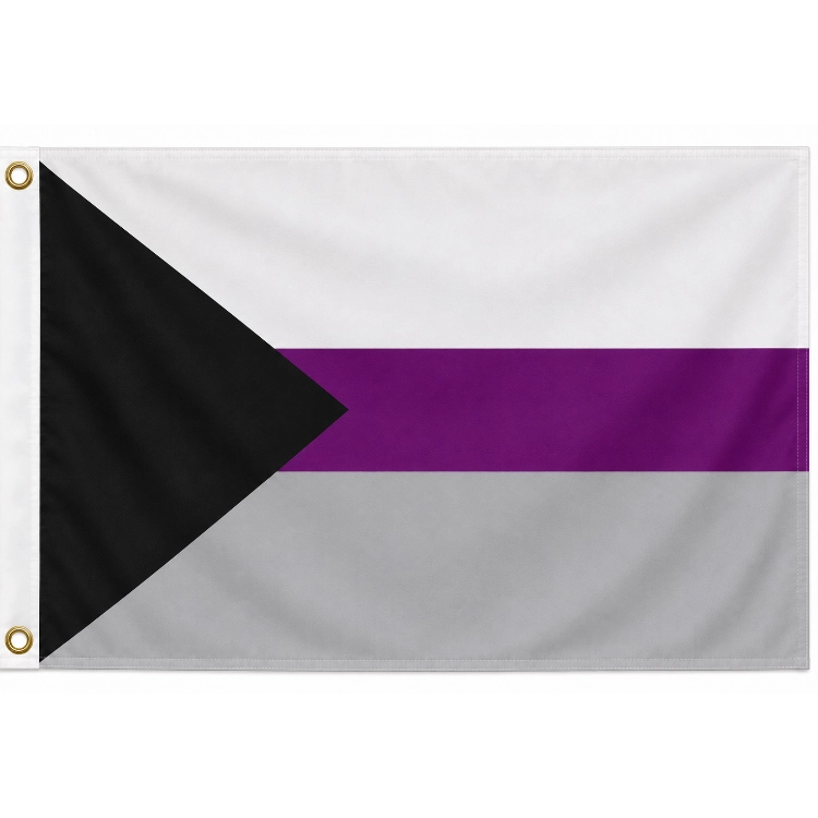 Demisexual Flagge 90 x 150 cm